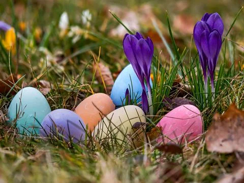 Easter eggs painted in different colors lying in the grass against the back.. Foto stock