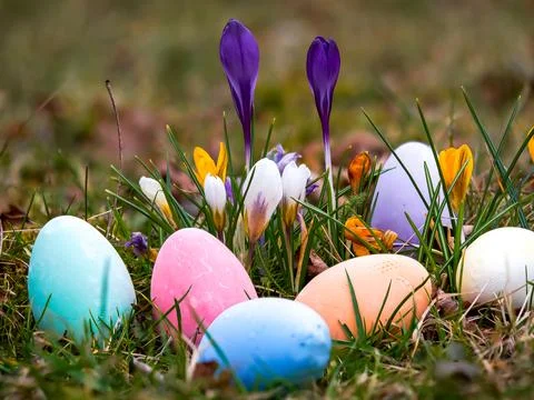 Easter eggs painted in different colors lying in the grass against the back.. Stock Photos