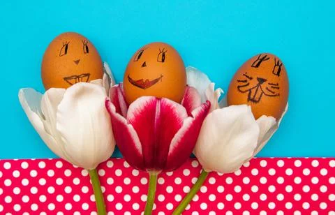 Easter eggs with painted faces and smiles in pink tulips on a blue background Stock Photos