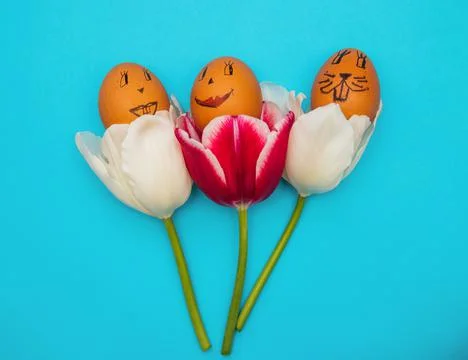Easter eggs with painted faces and smiles in pink tulips on a blue background Stock Photos