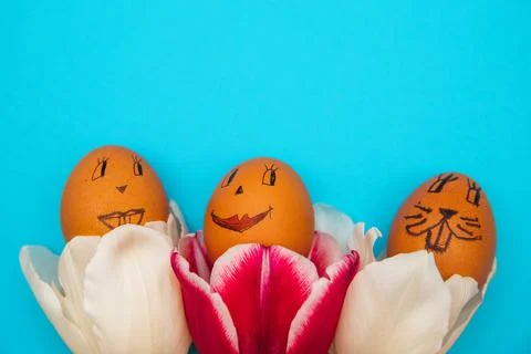 Easter eggs with painted faces and smiles in pink tulips on a blue background Stock Photos