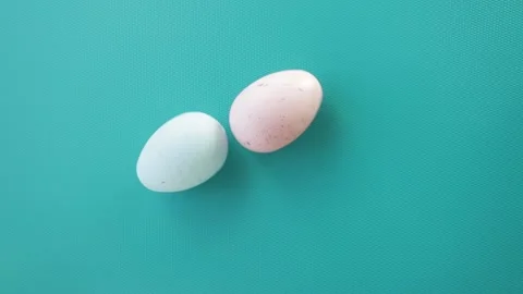 Easter eggs painted multi-colored, easter holiday, spring colors Stock Footage 172148745