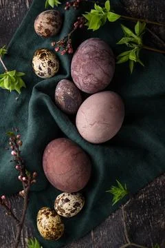 Easter eggs painted with natural dye Stock Photos