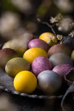 Easter eggs painted with natural dye Stock Photos