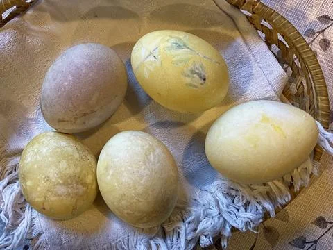 Easter eggs painted using natural colours: onion and green tea. Foto stock