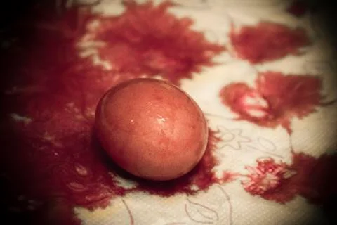 Easter eggs painting process Stock Photos