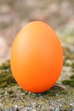 Easter eggs Stock Photos