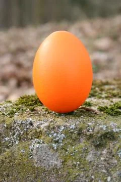 Easter eggs Stock Photos