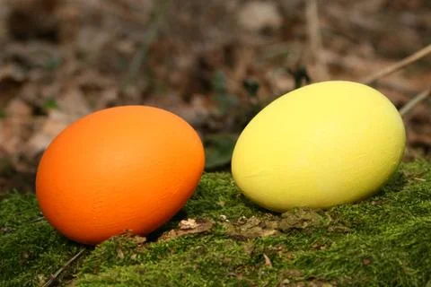 Easter eggs Stock Photos