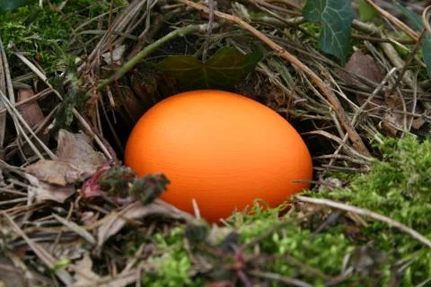 Easter eggs Stock Photos