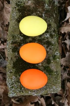 Easter eggs Stock Photos