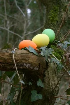 Easter eggs Stock Photos