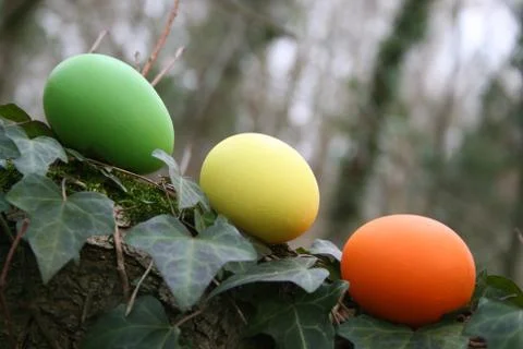 Easter eggs Stock Photos