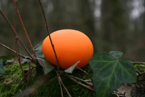 Easter eggs Stock Photos