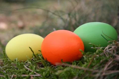 Easter eggs Stock Photos