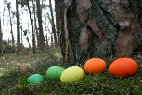 Easter eggs Stock Photos