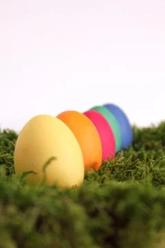 Easter eggs Stock Photos
