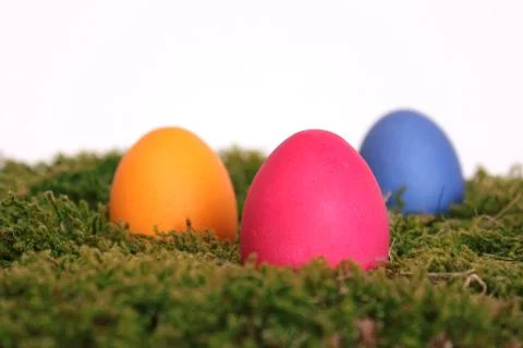 Easter eggs Stock Photos
