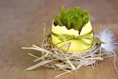 Easter eggs Stock Photos