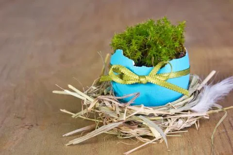 Easter eggs Stock Photos