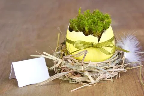 Easter eggs Stock Photos