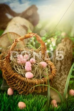 Easter eggs Stock Photos