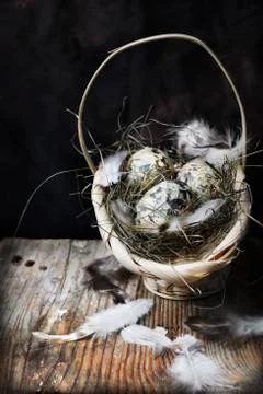 Easter eggs 스톡 사진