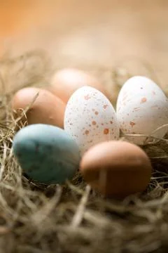 Easter eggs Stock Photos