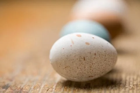 Easter eggs Stock-Fotos
