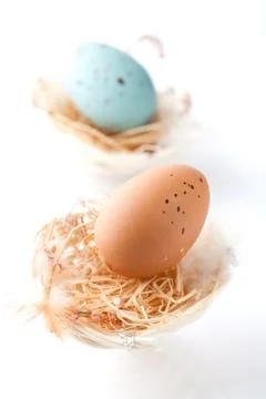 Easter eggs Foto stock