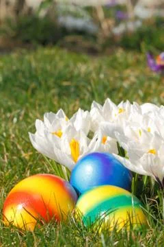 Easter eggs Stock Photos