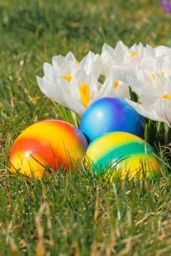 Easter eggs Stock Photos
