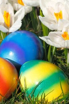 Easter eggs Stock Photos