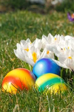 Easter eggs Stock Photos