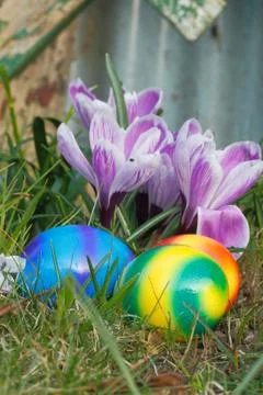 Easter eggs Stock Photos