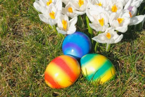 Easter eggs Stock Photos