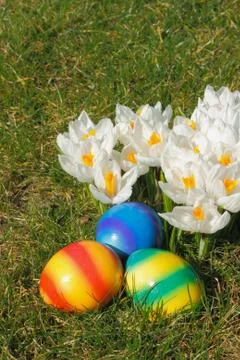Easter eggs Stock Photos