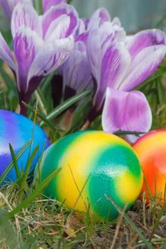 Easter eggs Stock Photos