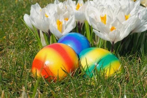 Easter eggs Stock Photos