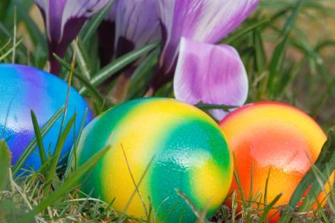 Easter eggs Stock Photos