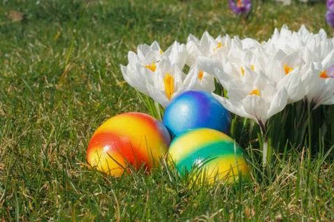 Easter eggs Stock Photos