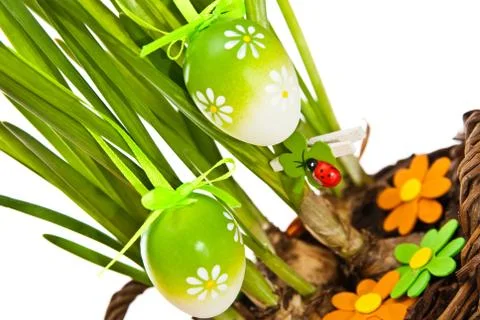 Easter eggs Stock Photos