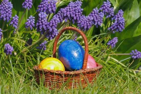 Easter eggs Stock Photos
