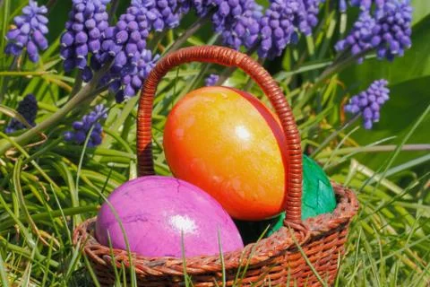 Easter eggs Stock Photos