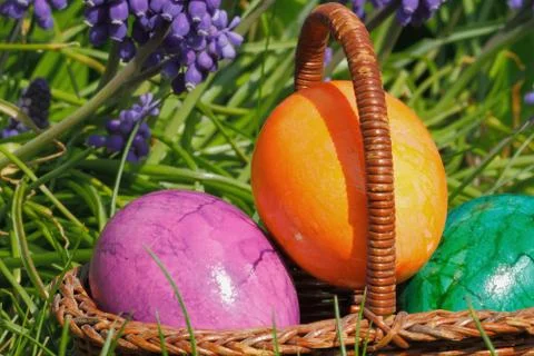 Easter eggs Stock Photos