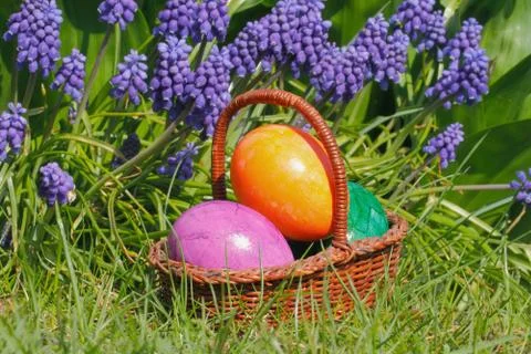 Easter eggs Stock Photos