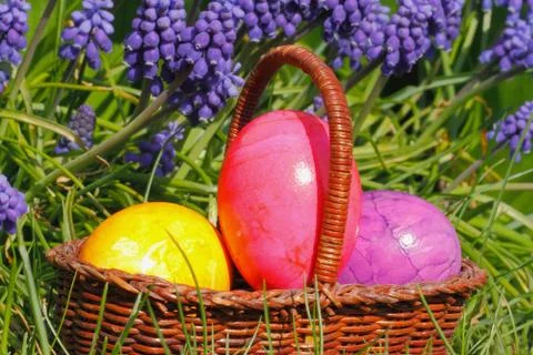 Easter eggs Stock Photos