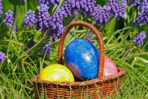 Easter eggs Stock Photos