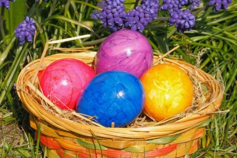 Easter eggs Stock Photos