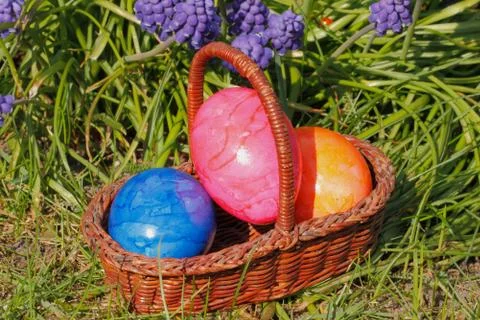 Easter eggs Stock Photos